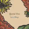 Spectral Fires - Just a Mirage - Single